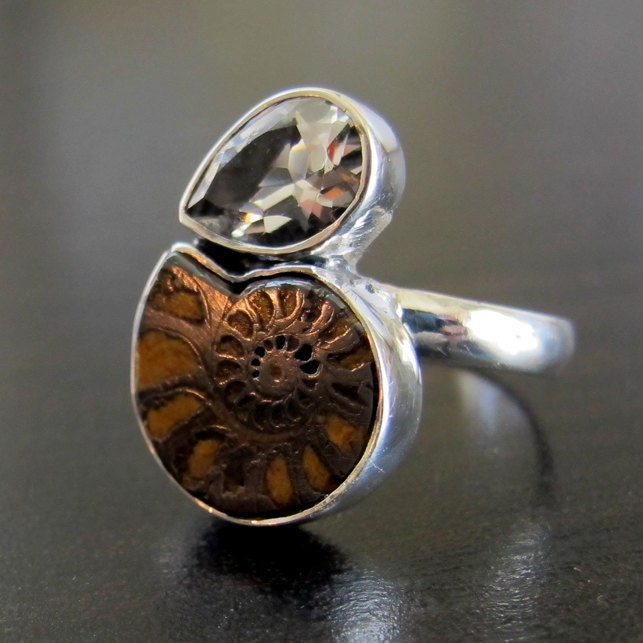 Ammonite Fossil Shell Ring set in Sterling Silver