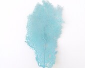 Sea Fan Aqua Blue Turquoise Nautical Coastal Decor