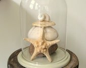 Huge Glass Dome or Cloche for Display