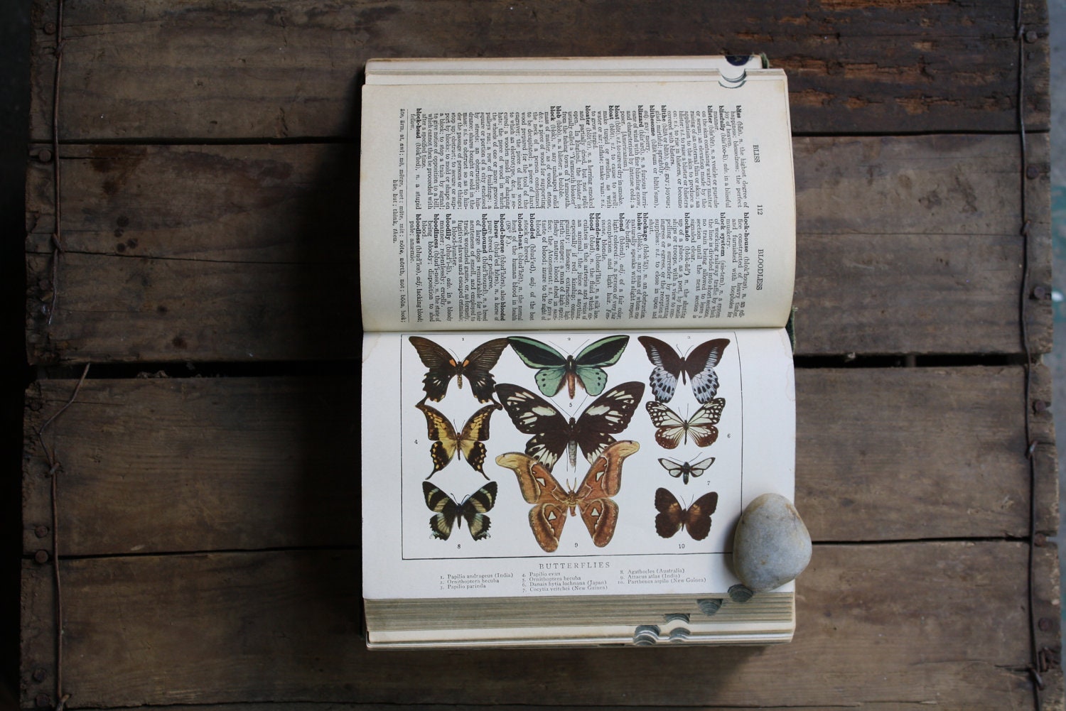 vintage 1928 dictionary