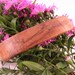 Large Hawai'ian Koa Wood Hair Clip, wooden hair accessory, reclaimed wood jewelry, lifetime guarantee, hair toy, large hair barrette