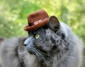 Fedora Cat Hat - Hand Felted Wool Hat - Father's Day