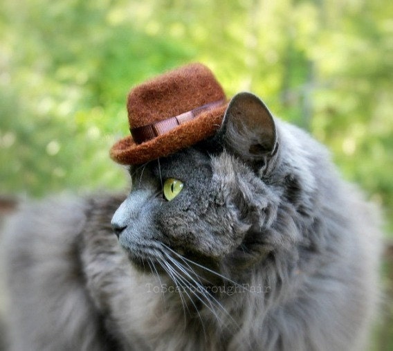 Fedora Cat Hat - Hand Felted Wool Hat - Father's Day