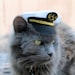 Marine Captain Mini Hat - Cat Captain Hat
