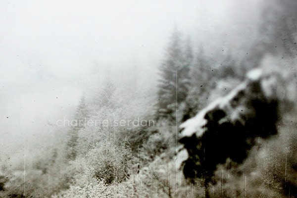 Winter Photography, Snow, Ice, Frost,, Black and White, Sepia, Fits 8x10 Frame