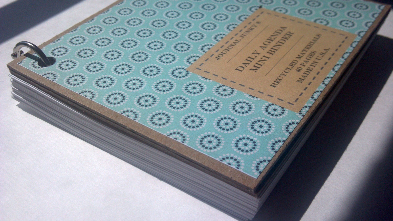 Daily Planner 100 Cards Blue Rounds