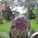 Pink Cupcake Flipflop Suncatcher