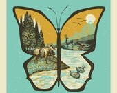 Butterfly ArtPrint // 18x18