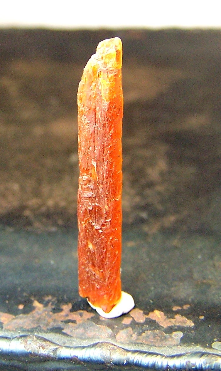 Orange Kyanite Crystal - Kyanite - Tanzania - Wire wrap stone for necklace pendant - raw rough natural - long - blade - coyoterainbow