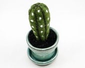 Felted Cactus