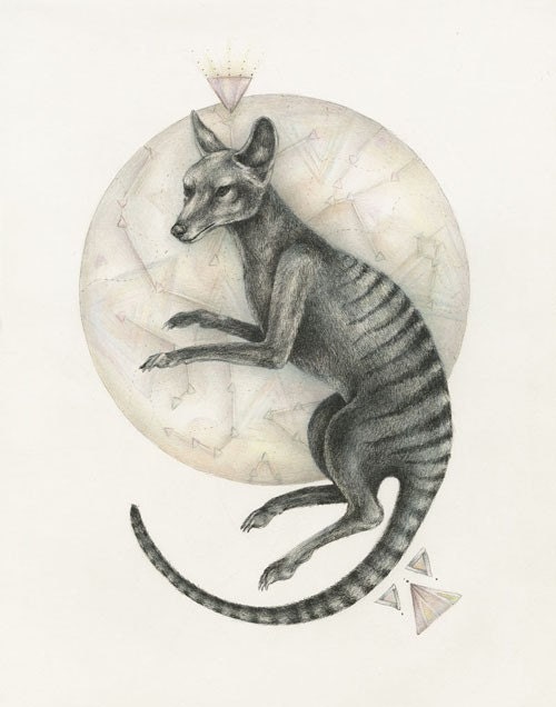 Thylacine - ORIGINAL