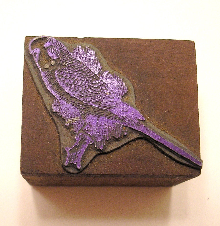 Bird Parakeet Vintage Letterpress Printer's Block