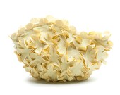 Vintage Style Cosmetic Bag out of Bathing Cap  - Yellow - Multi floral