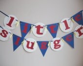 Little Slugger Baseball Party Banner