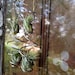 NEW DESIGN Pair of Living Air Plant Earrings
