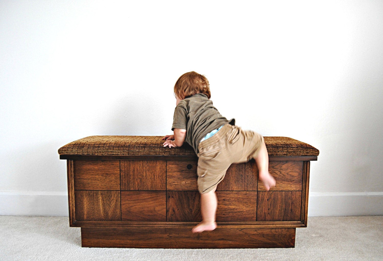 Modern Lane Furniture Chest