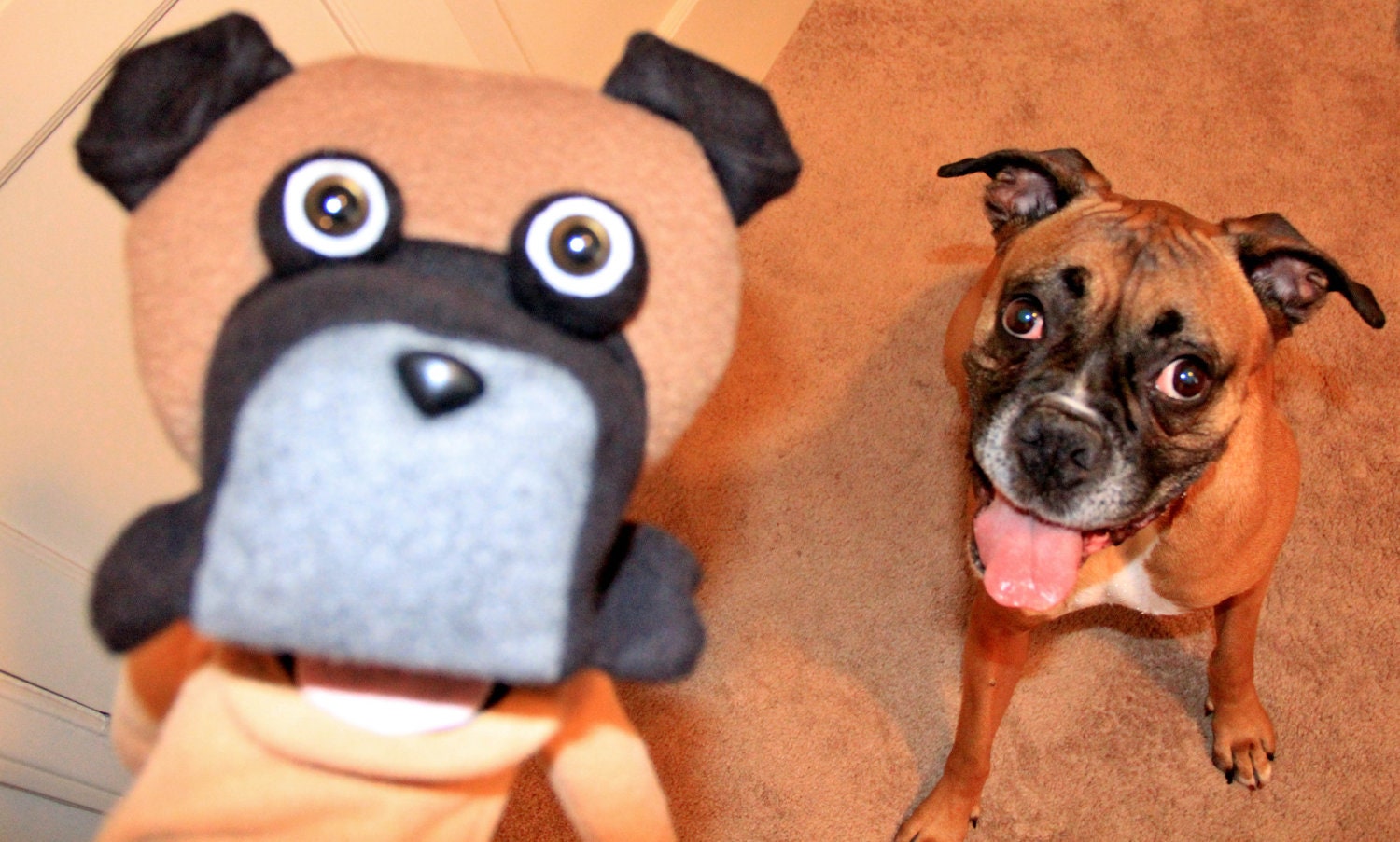 MyPet, mepuppet, muppet, custom puppet