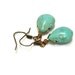 Turquoise Earrings, Teardrop Earrings Wire Wrapped Blue Green Aqua Fall Fashion Woodland Gift Under 15 - Native American