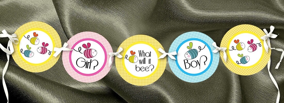 Baby Gender Reveal Party Banner, Baby Shower, Pink, Blue, Yellow, Bees Il_570xn