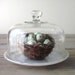 Vintage Glass Cloche Bell Jar Dome with Milk Glass Plate RESERVED FOR KATHY