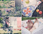In my Garden (Set of four 5x5 ) Fine Art Photographs