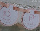 READY to SHIP Beautiful Ballerina Collection: Just Born/0-12 Mos Ballerina First Birthday Photo Picture Banner. Ballet Birthday. Il_170x135