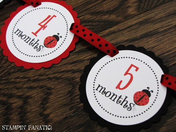 Red and Black Little Ladybug Collection Just Born/0-12 mos Banner with clips. First Birthday Photo Banner. Picture Banner. Il_570xn