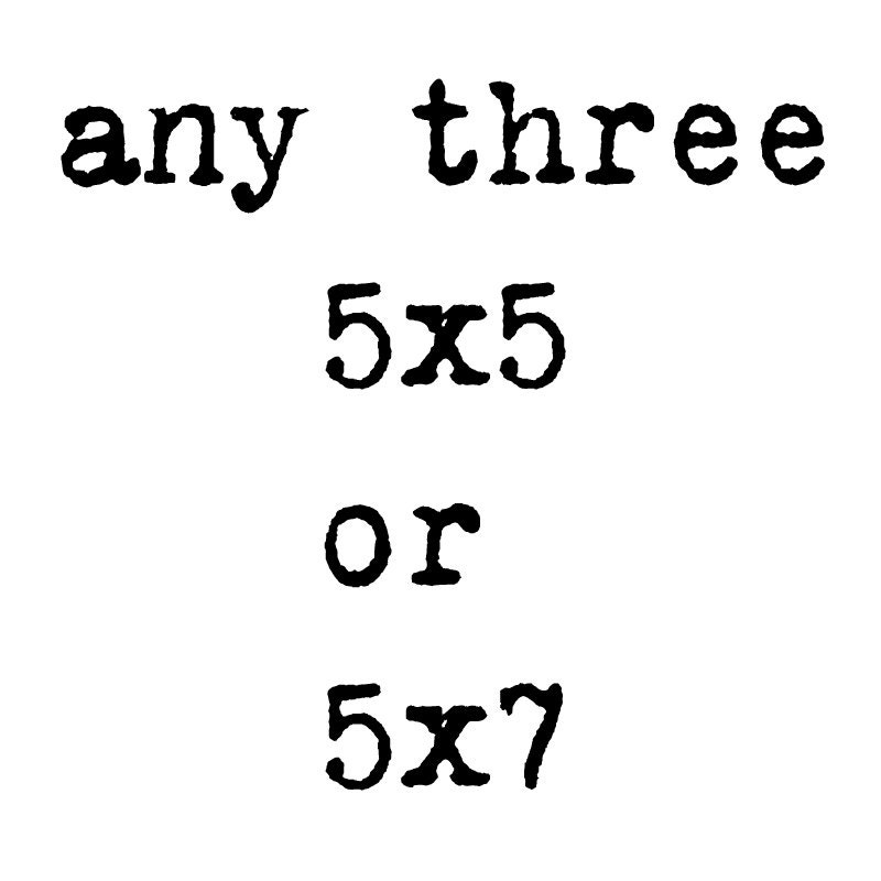 15% Off SAVE on ANY THREE 5x5 or 5x7 Fine Art Photographs- You Choose- All Photography - Home Decor - Landscape, Coastal, Flower, Food,