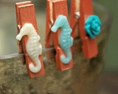 Cutie Seahorse Mini Pins