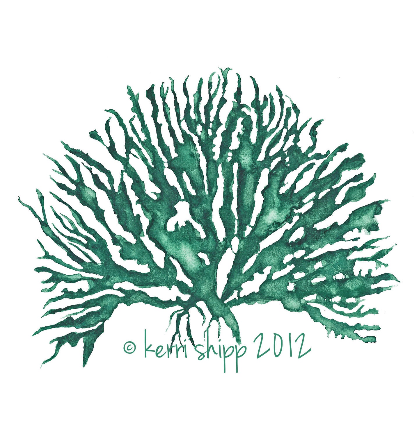 Sea Coral in Emerald IV - New colour