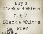 DISCOUNT BUNDLE  Listing Number 2 by PTFY