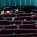 Donkey Kong Blanket