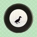 Framed Nursery Art, framed photography, little black duck, duckling, minimalist black & white, unique 16x16 round black frame, 12x12 Print