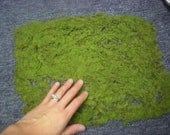 Synthetic Green Sheet Moss