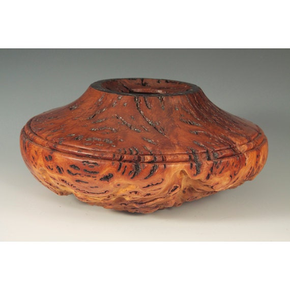 Australian Salt Gum Burl Hollow Form