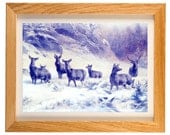 5x7" Winter Deer Art Print