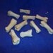 Real animal Deer toe knuckle bones craft supplies part piece