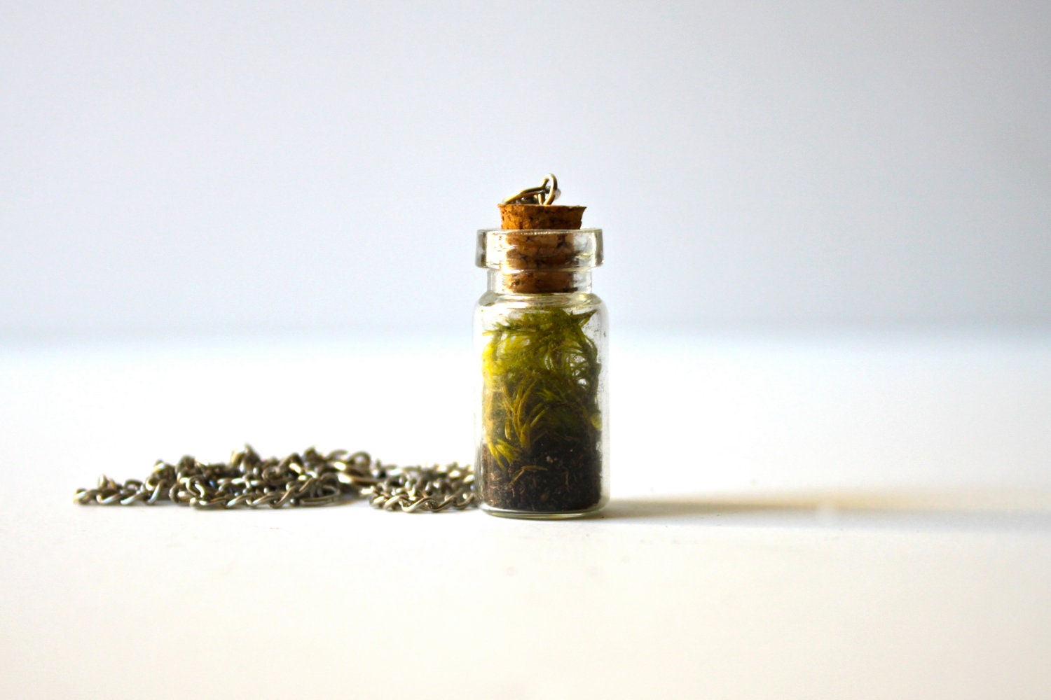 Moss Terrarium in Apothecary Bottle Pendant
