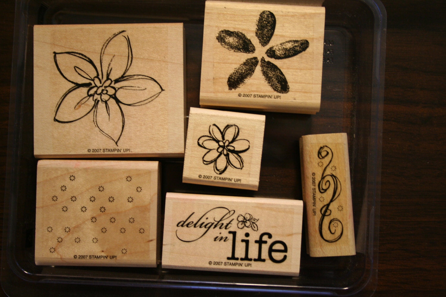 Stampin' Up retired -Delight in Life - Stamp Set