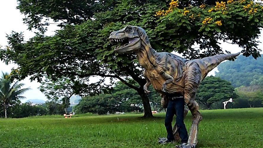 Life Size Baby T-rex Costume 16 Feet Long