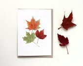 Maple Leaves Note Card - Watercolor Painting, Autumn Leaves, Kraft Envelope, Blank Note, Art Card, Fall Colors, Red, Orange, Green