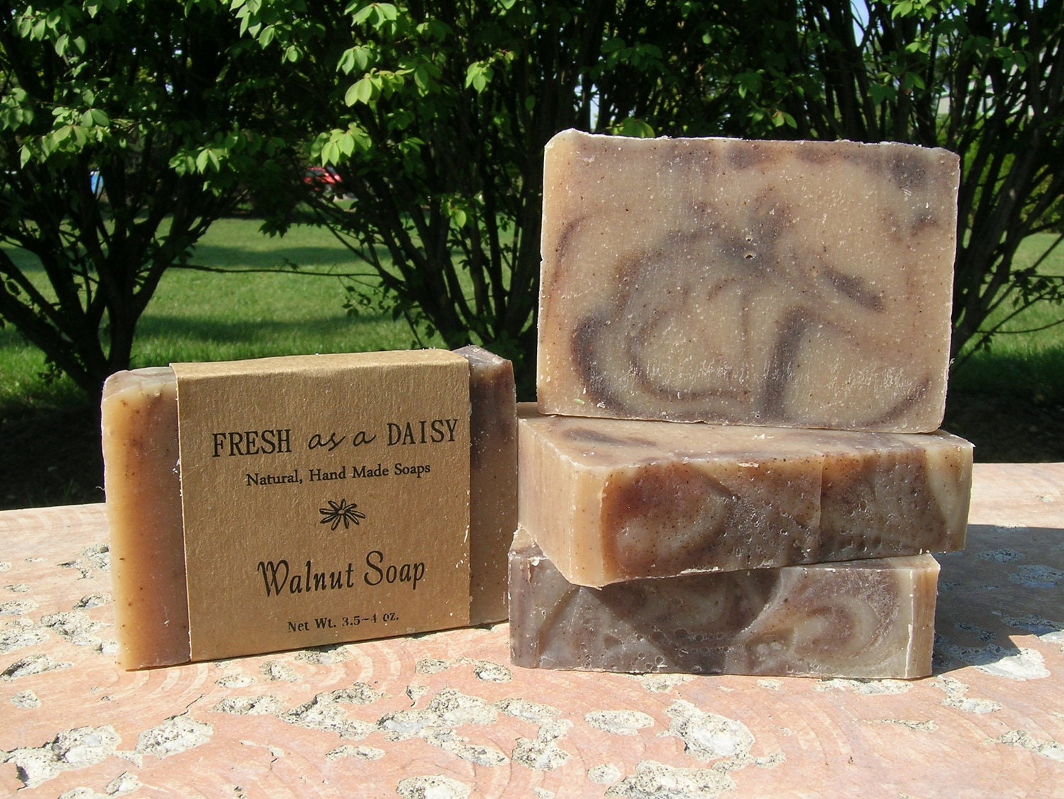 Walnut, Handmade Soap, Unscented, 100% Natural