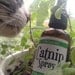 Organic Catnip Spray 2oz and Free Shipping