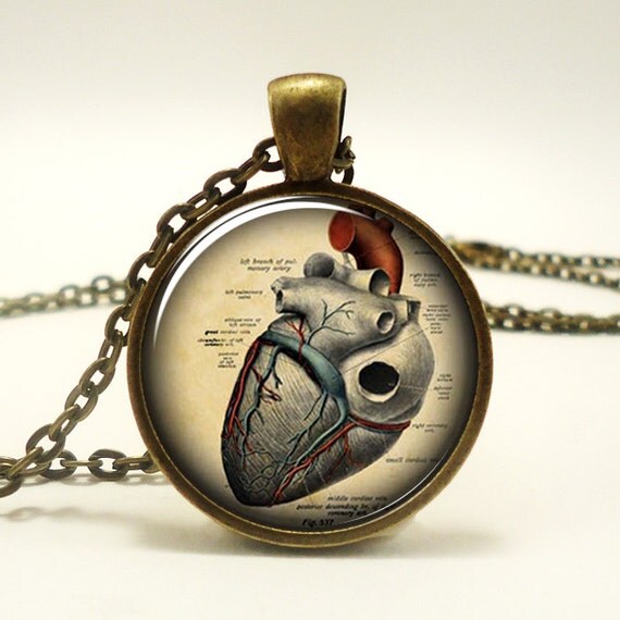 Anatomical Heart Necklace Anatomy Jewelry Goth Pendant by rainnua