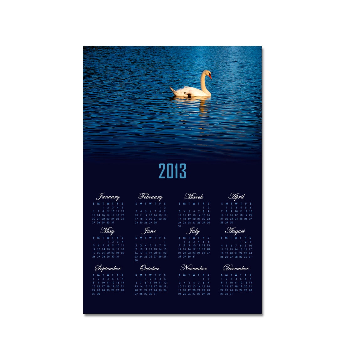 2013 Wall Calendar, Year at a glance Photo Calendar, Buy 2 get 1 for free, Size 12x18, Swan photo, Fine Art Photography, Nature Photography