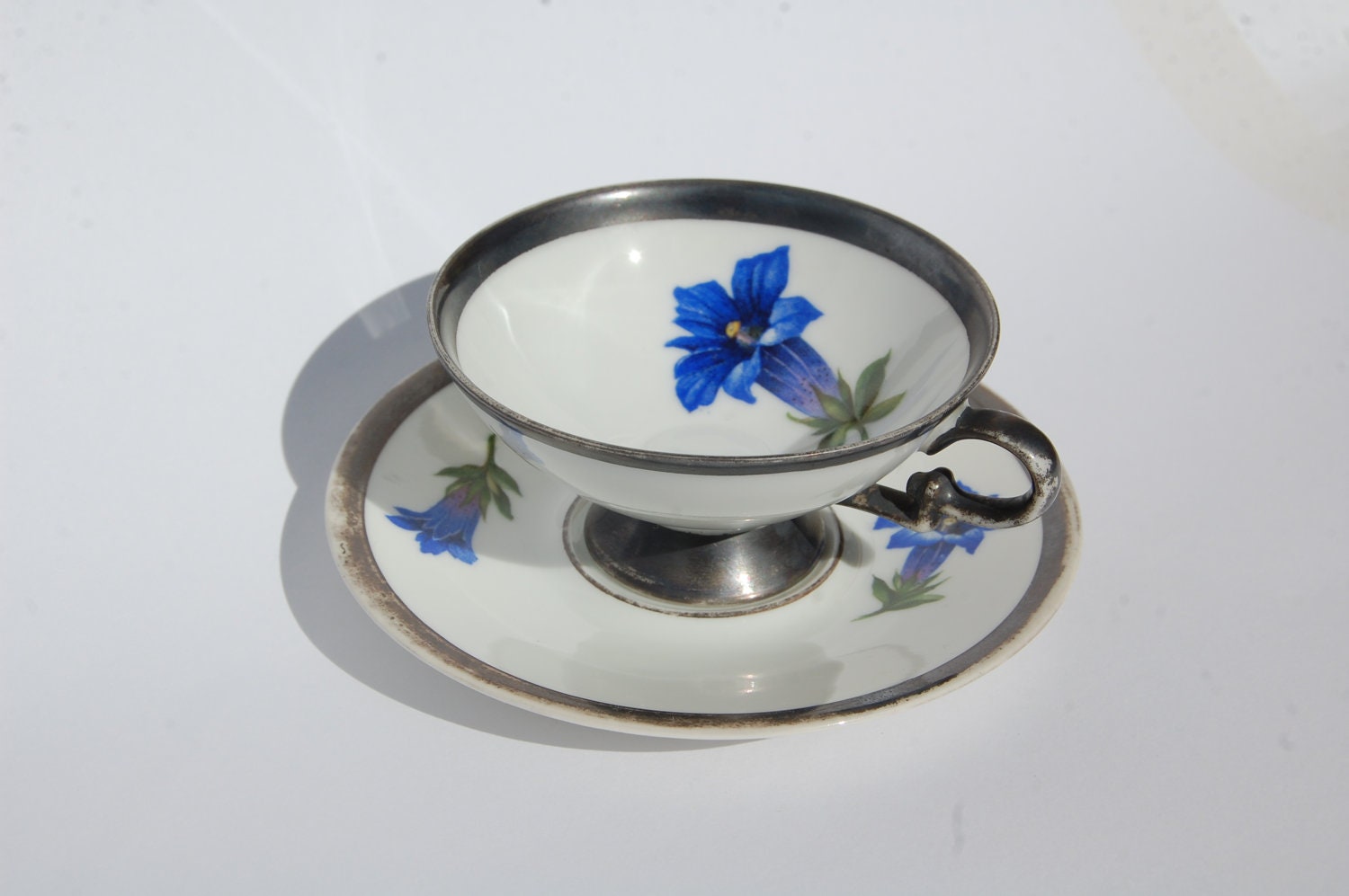 Bavarian Tea Cup VINTAGE, Hand painted Alpen Flora Tea Cup