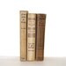 Brown Beige 3 Book Collection