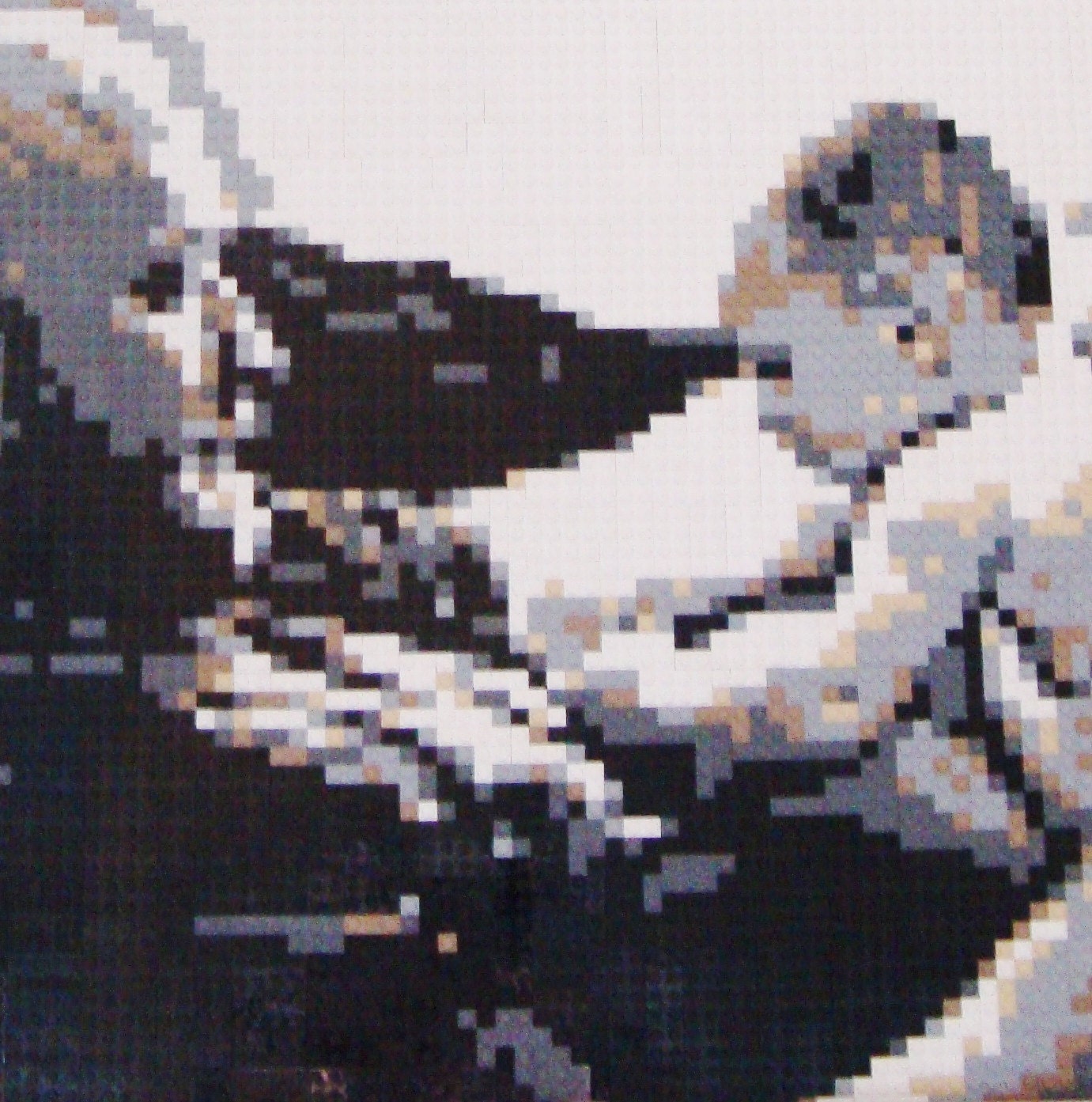 LEGO Family Portraits 20x20 LEGO LEGO
