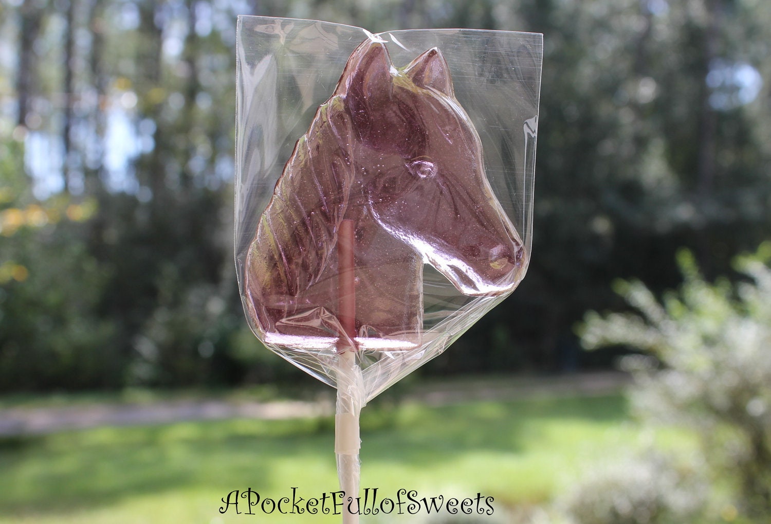 HORSE Party Favors Barley Sugar Hard Candy Lollipops Suckers Birthday Party Favors Gift Purple Horses
