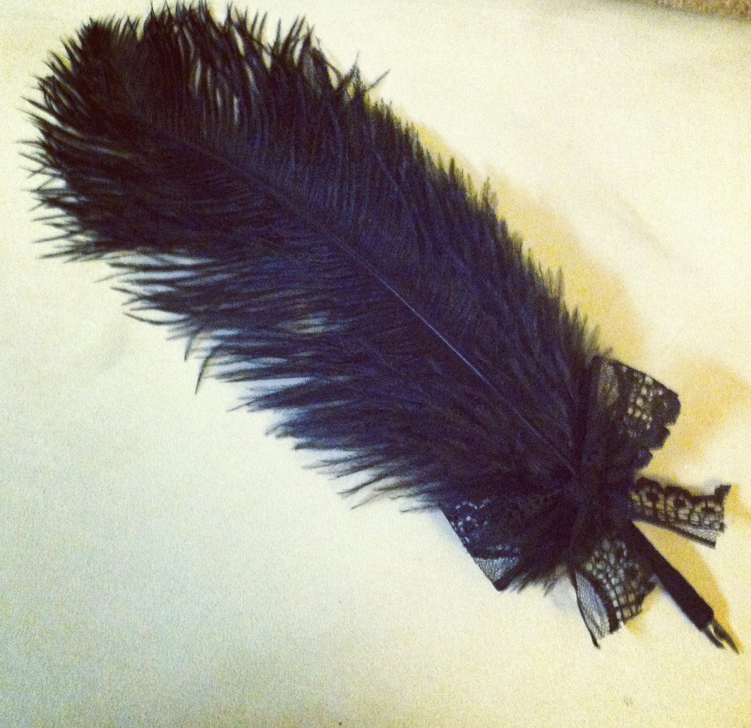 MDAY Sale Black Burlesque Quill